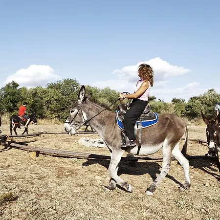 Agriturismo Agrimilo *