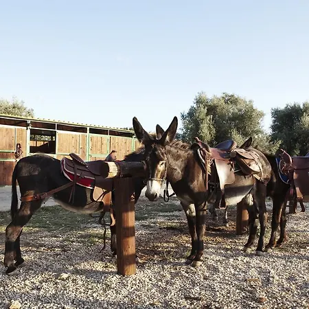 Agriturismo Agrimilo *