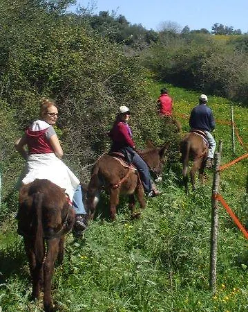 Agriturismo Agrimilo Bauernhof