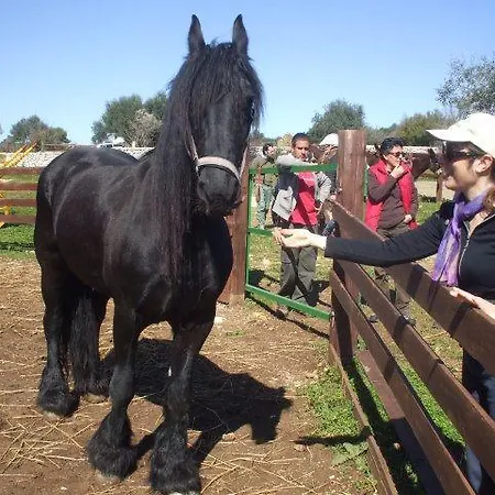 Bauernhof Agriturismo Agrimilo *