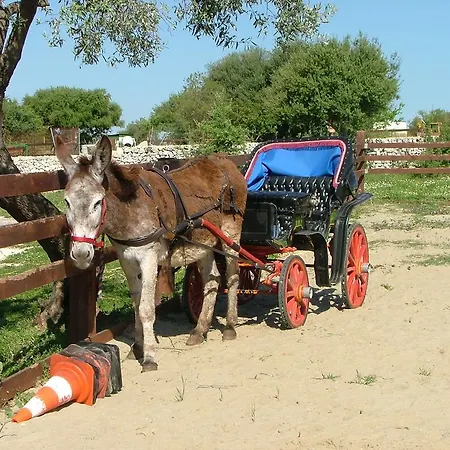 Agriturismo Agrimilo Bauernhof