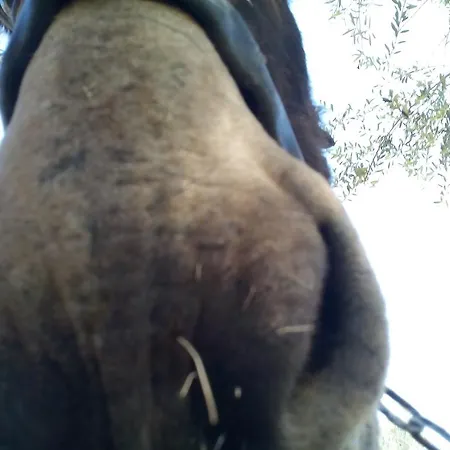 Bauernhof Agriturismo Agrimilo