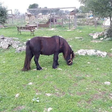 Agriturismo Agrimilo Bauernhof *