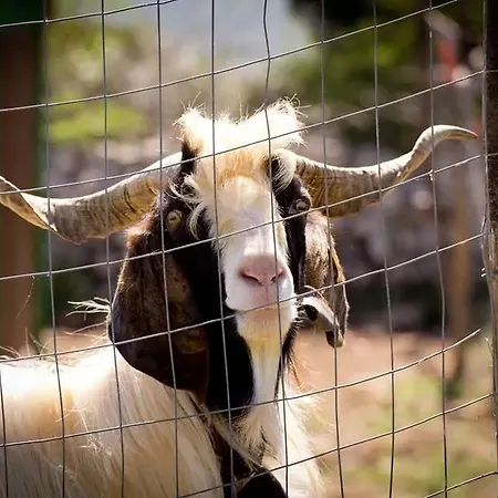 Bauernhof Agriturismo Agrimilo Noto