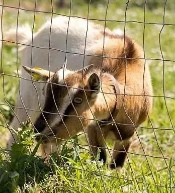 Agriturismo Agrimilo Bauernhof