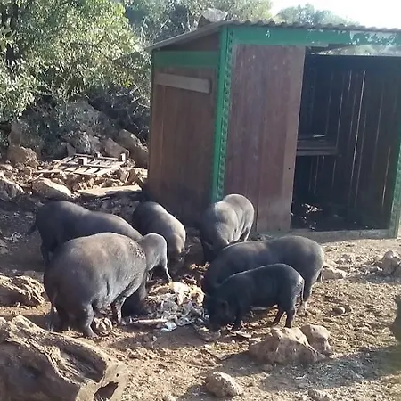 Bauernhof Agriturismo Agrimilo *