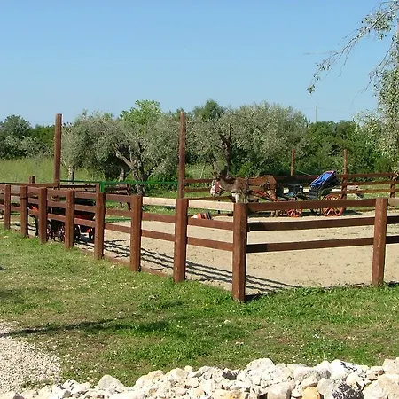 Agriturismo Agrimilo Bauernhof *