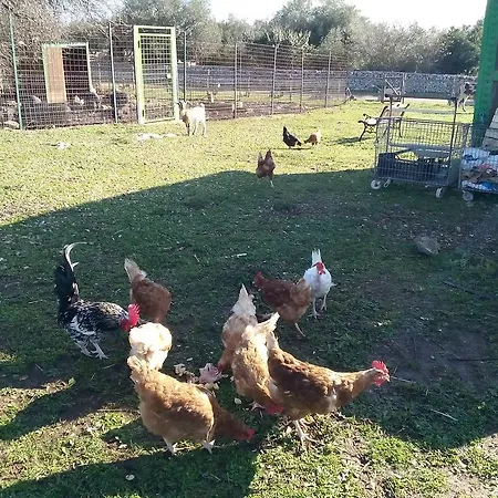 Agriturismo Agrimilo * Noto