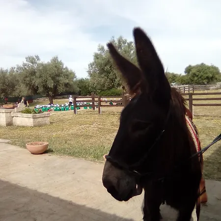 Agriturismo Agrimilo *