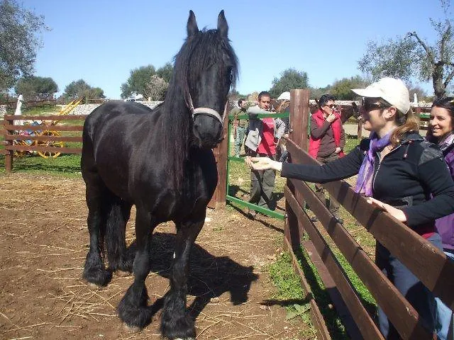 Séjour à la ferme Agrimilo *