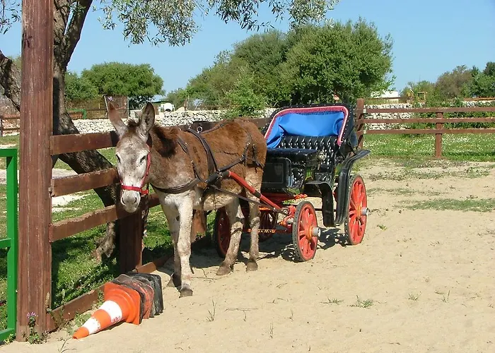 Agrimilo Séjour à la ferme