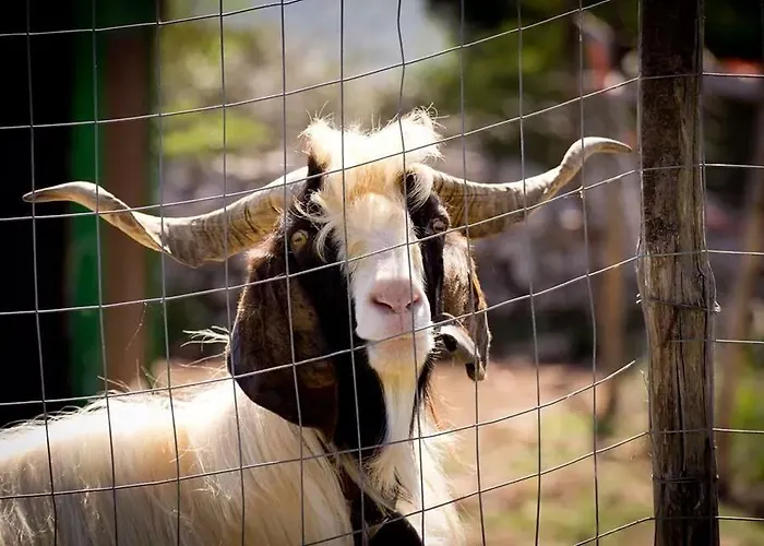 Séjour à la ferme Agrimilo Noto