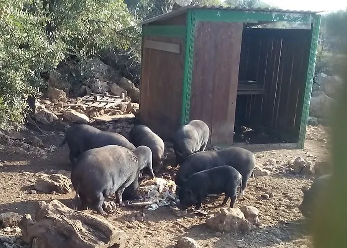 Séjour à la ferme Agrimilo *