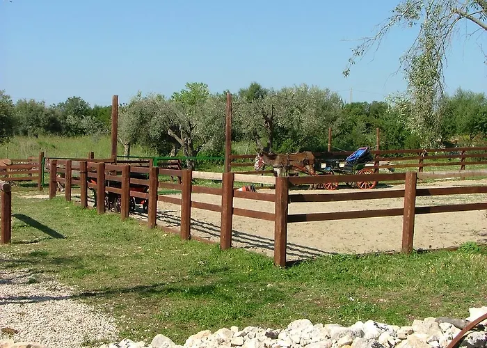 Agrimilo Séjour à la ferme *