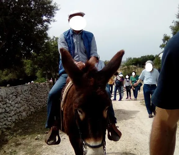 Agrimilo * Noto