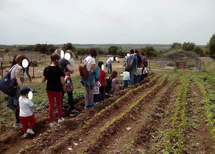 Séjour à la ferme Agrimilo Noto